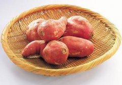 盘点：“冠军蔬菜”红薯的营养价值